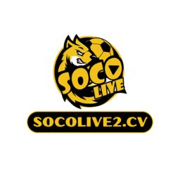 socolive2cv01