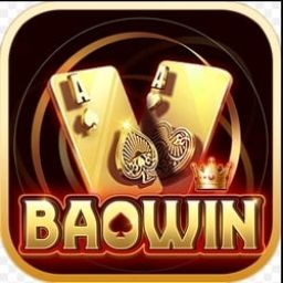 baowin1org