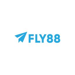 fly88netcom2