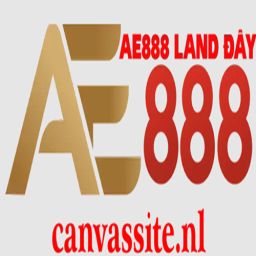 ae888canvassite
