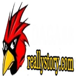 daga88reallystory