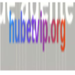 hubetviporg