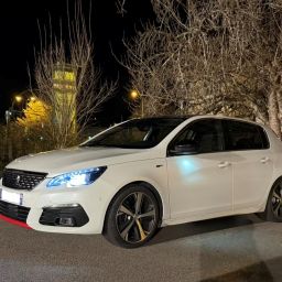 Remy308