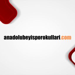 ankarabasketbolokulu
