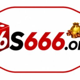 s666org1vn
