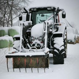 Landmodding