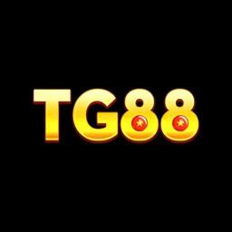 Tg88comio2026