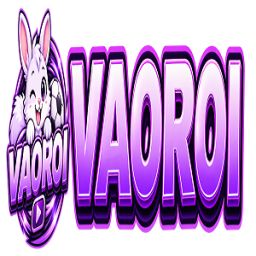 vaoroitvwork