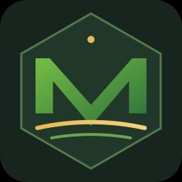 MModing 