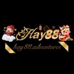 hay88ventures