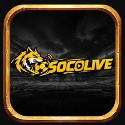 Socolive10art1