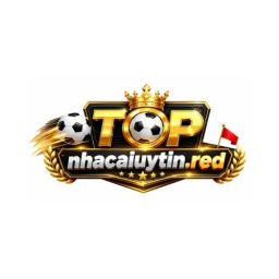 nhacaiuytinred