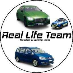 Real Life Team
