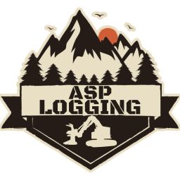 ASP Logging