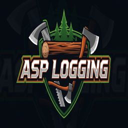 ASP Logging
