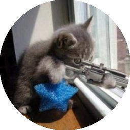 SniperKittenCZ