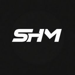 Leonsrm