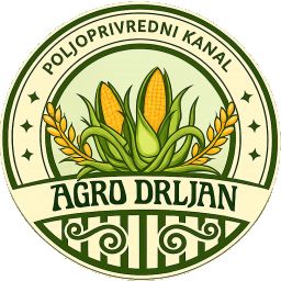 Drljan