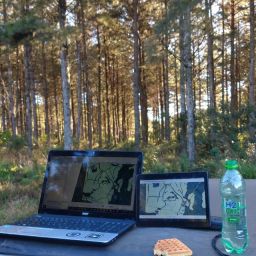 VOGEL FOREST
