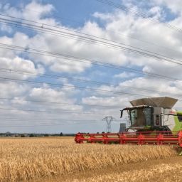Agri Ostrevant